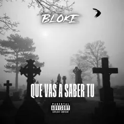 Que Vas a Saber Tu - Single by BLOKE album reviews, ratings, credits