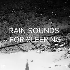 Deep Sleep Ambience Song Lyrics