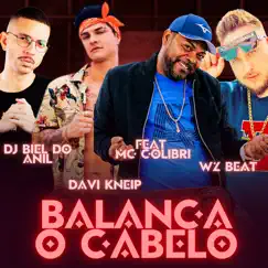 Balança o Cabelo (feat. Mc Colibri) - Single by WZ Beat, Davi Kneip & DJ Biel do Anil album reviews, ratings, credits