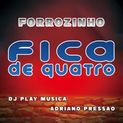 Forrozinho Fica de Quatro - Single by DJ PLAY MUSICA & Adriano Pressão album reviews, ratings, credits