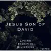 Jesus Son of David - Single album lyrics, reviews, download