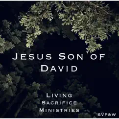 Jesus Son of David - Single by Sacrificio Vivo album reviews, ratings, credits