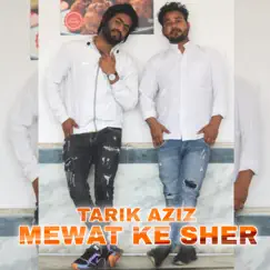 Mewat ke Sher - Single by Tarik Aziz album reviews, ratings, credits
