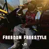 Freedom Freestyle - Single album lyrics, reviews, download