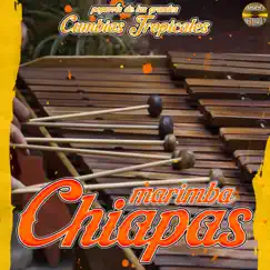 Popurris De Las Grandes Cumbias Tropicales by Marimba Chiapas album reviews, ratings, credits