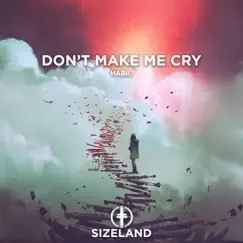 Don't Make Me Cry Song Lyrics