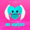 No Vuelvo a Llorar - Single album lyrics, reviews, download