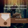 Melodias de Kalimba e Sons de Floresta Serena album lyrics, reviews, download