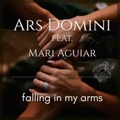 Falling in My Arms (Radio Edit) [feat. Mari Aguiar] Song Lyrics