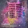Forgotten (feat. The Shop Window) - Single album lyrics, reviews, download