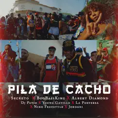 Pila De Cacho (feat. La Perversa, Niño Freestyle, Young Gatillo & DJ Patio) Song Lyrics
