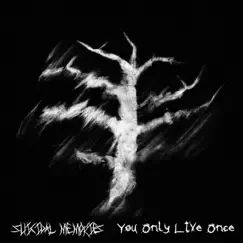 You Only Live Once (Cover) Song Lyrics