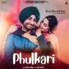 Phulkari (From "Khaao Piyo Aish Karo") - Single album lyrics, reviews, download
