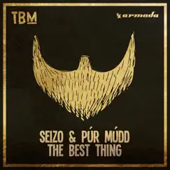 The Best Thing - Single by Seizo & Púr Múdd album reviews, ratings, credits