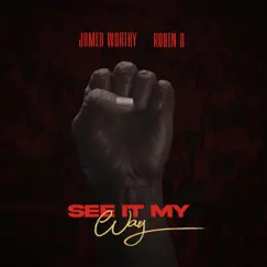 See It My Way - Single by James Worthy & Robin S album reviews, ratings, credits