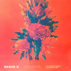 (You Don't Know) How Glad I Am - Single by Shijo X album reviews, ratings, credits