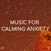 !!!" Music for Calming Anxiety "!!! album lyrics, reviews, download