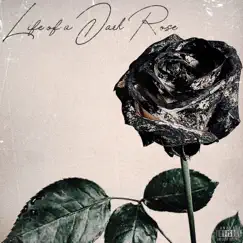 Life of a Dark Rose (feat. yakwtfgo & Lil Sketchbook) - Single by Yung Panda album reviews, ratings, credits