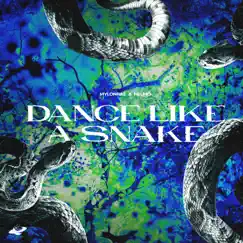 Dance Like a Snake (Extended Mix) Song Lyrics