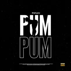 Pum Pum - Single by Shehuaro album reviews, ratings, credits