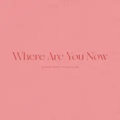 Where Are You Now (Piano Version) - Single by Sunday Night Piano Club album reviews, ratings, credits