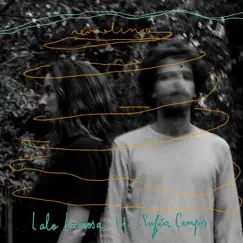 Remolino (feat. Sofía Campos) - Single by Lalo Larrosa album reviews, ratings, credits