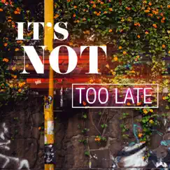 It's Not Too Late (feat. Shelly Moore) - Single by Tabor Lake album reviews, ratings, credits
