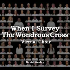 When I Survey the Wondrous Cross (Virtual Choir) - Single by David Wesley album reviews, ratings, credits