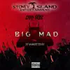 Big Mad (feat. Gogetit Twinz) - Single album lyrics, reviews, download