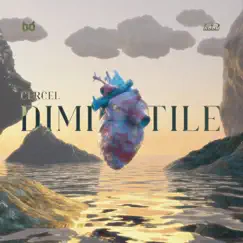 DIMINETILE (feat. CERCEL) - Single by Andrei album reviews, ratings, credits