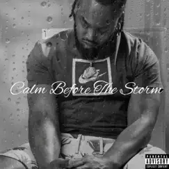 Calm Before the Storm - EP by VeeVerse album reviews, ratings, credits