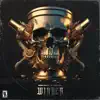 WINNER (feat. Stealth) - Single album lyrics, reviews, download