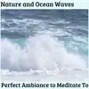 Beautified Ocean song lyrics