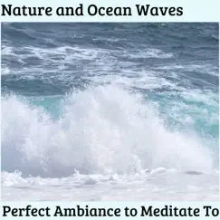 Beautified Ocean Song Lyrics