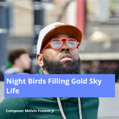 Night Birds Filling Gold Sky Life Song Lyrics