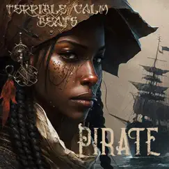 Pirate - Single by Terrible Calm album reviews, ratings, credits