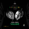 Validé (feat. Rinyu) - Single album lyrics, reviews, download