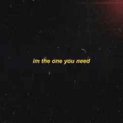 I'm the One You Need (feat. Ciara Nicole) Song Lyrics