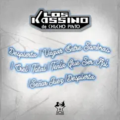 Despierta / Vagar Entre Sombras / Creí / Total / Tenía Que Ser Así / Señor Juez / Despierta - Single by Los Kassino de Chucho Pinto album reviews, ratings, credits