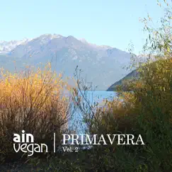 Primavera Vol. 2 by AIN Vegan album reviews, ratings, credits