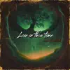 Live in This Time (Live) album lyrics, reviews, download