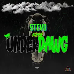 UNDER DAWG - Single by Stevo King album reviews, ratings, credits