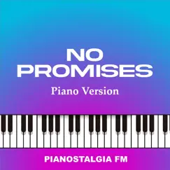 No Promises (Piano Version) Song Lyrics