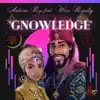 Gnowledge (feat. Wise Royalty) [Radio Edit] - Single album lyrics, reviews, download