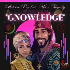 Gnowledge (feat. Wise Royalty) [Radio Edit] - Single by Antoine Bey album reviews, ratings, credits
