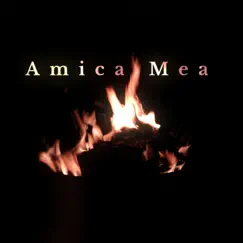 Amica Mea - Single by Arjen Janse album reviews, ratings, credits