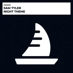 Night Theme - Single by Sam Tyler album reviews, ratings, credits