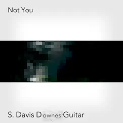 Not You - Single by S. Davis Downes album reviews, ratings, credits