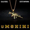 Umshini (feat. Scotts Maphuma) - Single album lyrics, reviews, download