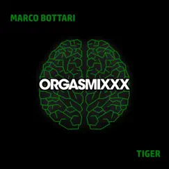 Tiger - Single by Marco Bottari album reviews, ratings, credits